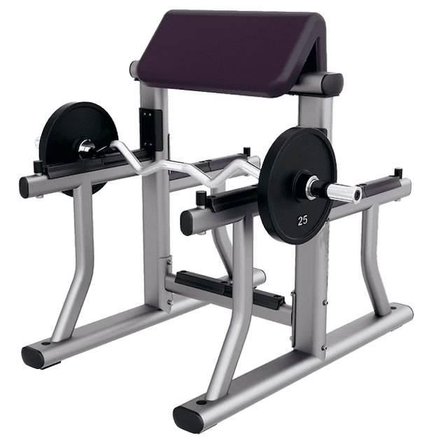 Arm Curl Bench Versatility