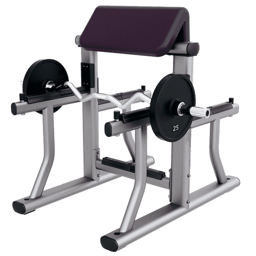 Arm Curl Bench Versatility