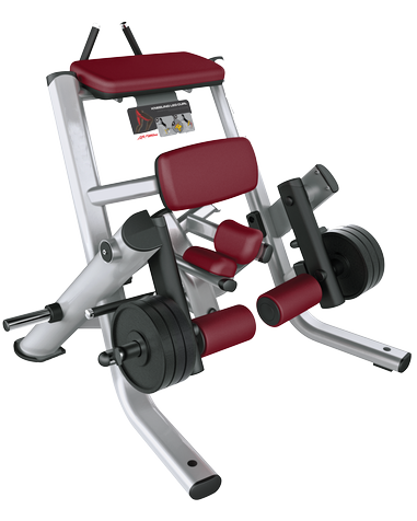 Kneeling Leg Curl Versatility